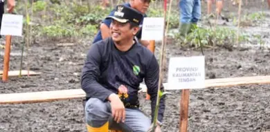 Ekowisata Mangrove Sungai Pasir